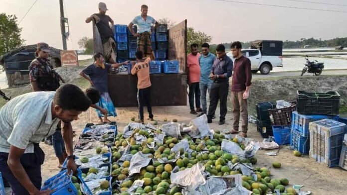 সাতক্ষীরায় বিপুল পরিমাণ রাসায়নিক মিশ্রিত আম জব্দ