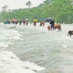 পাঁচ জেলায় বন্যার আশঙ্কা, ৪ নদীর পানি বিপৎসীমার ওপরে