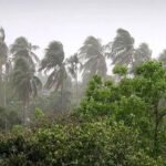 ১৮ জেলায় ঝড়বৃষ্টির আভাস, ১ নম্বর সতর্ক সংকেত