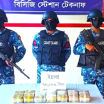 টেকনাফে কোস্ট গার্ডের অভিযান, সাড়ে তিন কোটি টাকার ইয়াবা জব্দ