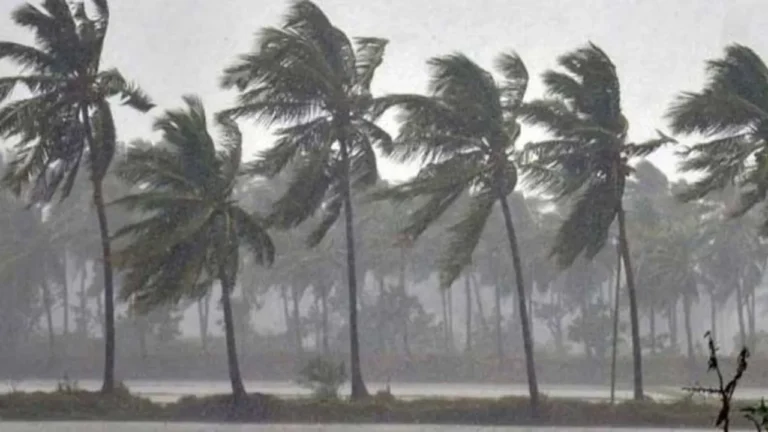 রাতের মধ্যে ঝড় হতে পারে যেসব অঞ্চলে