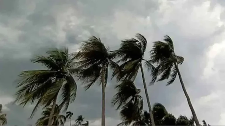 দেশের ৮ অঞ্চলে দমকা হাওয়া ও বজ্রবৃষ্টির আভাস