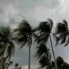 দেশের বিভিন্ন অঞ্চলে দুপুরের মধ্যে ঝোড়ো হাওয়াসহ বৃষ্টি ও বজ্রবৃষ্টির আভাস