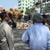 কোরবানির বর্জ্য অপসারণে ময়লাবাহী গাড়ি নিয়ে মাঠে নামলেন নারায়ণগঞ্জ সিটির প্রশাসক