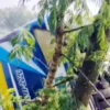 গাইবান্ধার পলাশবাড়ীতে যাত্রীবাহী বাস খাদে পড়ে এক নারী নিহত