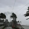 সন্ধ্যার মধ্যে যেসব জেলায় হতে পরে ঝড়