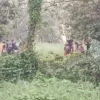 চাঁপাইনবাবগঞ্জ সীমান্তে পুশ-ইনের চেষ্টা, সতর্ক অবস্থানে বিজিবি