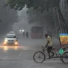 সক্রিয় হচ্ছে মৌসুমি বায়ু, বাড়বে বৃষ্টিপাত
