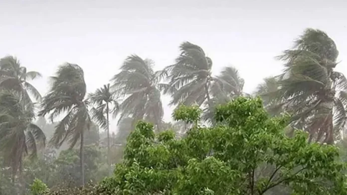 ১২ অঞ্চলে ঝড়ের পূর্বাভাস, নদীবন্দরে সতর্কতা