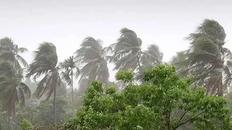 ১২ অঞ্চলে ঝড়ের পূর্বাভাস, নদীবন্দরে সতর্কতা