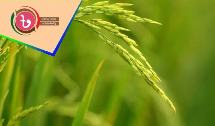 কৃষি খাতে বরাদ্দ ৪৩ হাজার ৩৩৫ কোটি টাকা