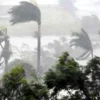 ১০ জেলায় ৬০ কিলোমিটার বেগে ঝোড়ো হাওয়া ও বৃষ্টির আভাস