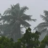 দুপুরের মধ্যে ঢাকাসহ ১৫ জেলায় ঝড়বৃষ্টির আভাস