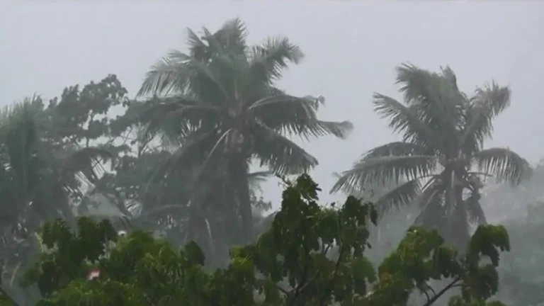 দুপুরের মধ্যে ঢাকাসহ ১৫ জেলায় ঝড়বৃষ্টির আভাস