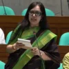 পেশা হিসেবে রাজনীতি করে অর্থ উপার্জন, বাংলাদেশেই সম্ভব: রুমিন ফারহানা