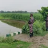 মেহেরপুর-লালমনিরহাট সীমান্তে ৭ জনকে পুশইনের চেষ্টা, বিজিবির বাধা