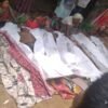 সেপটিক ট্যাংক থেকে ছাগল বাঁচাতে গিয়ে প্রাণ গেল ৪ জনের