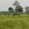 চাঁপাইনবাবগঞ্জ সীমান্তে পুশইনচেষ্টা ব্যর্থ, ২০ জনকে ফিরিয়ে নিল বিএসএফ
