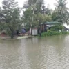 চট্টগ্রাম-কক্সবাজারে বন্যা: বিপৎসীমার উপরে সাঙ্গু-মাতামুহুরীর পানি