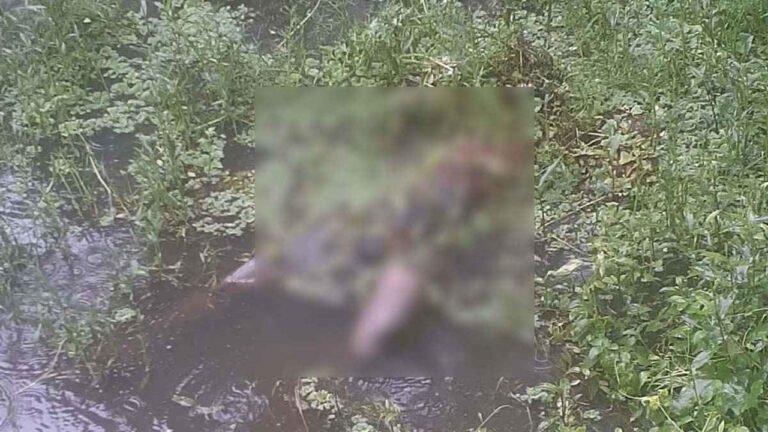 নোয়াখালীতে নিখোঁজের দুই দিন পর ডোবা থেকে যুবকের মরদেহ উদ্ধার