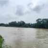 টানা বৃষ্টি ও উজানের ঢলে মুহুরী নদীর পানি বাড়ছে, বিপৎসীমা ছোঁয়ার শঙ্কা
