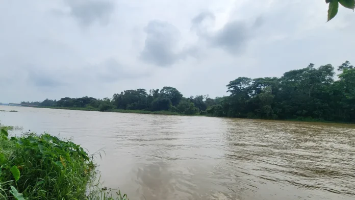 টানা বৃষ্টি ও উজানের ঢলে মুহুরী নদীর পানি বাড়ছে, বিপৎসীমা ছোঁয়ার শঙ্কা