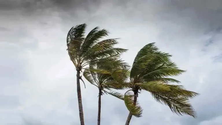 ৮ অঞ্চলে ঝড়-বৃষ্টির আভাস, কোথাও ভারী বর্ষণের সম্ভাবনা