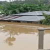 উজানে ভারি বৃষ্টির প্রভাব, কয়েকটি জেলায় বন্যার ঝুঁকি
