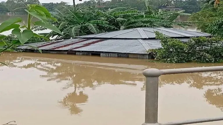 উজানে ভারি বৃষ্টির প্রভাব, কয়েকটি জেলায় বন্যার ঝুঁকি