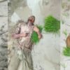 ফটিকছড়িতে ছিঁড়ে পড়া বিদ্যুতের তারে দুই কৃষকের মৃত্যু