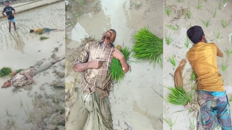 ফটিকছড়িতে ছিঁড়ে পড়া বিদ্যুতের তারে দুই কৃষকের মৃত্যু