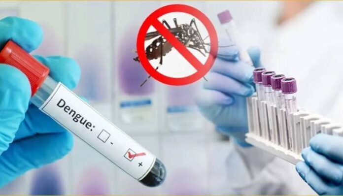 একদিনে ডেঙ্গুতে আক্রান্ত হয়ে হাসপাতালে ভর্তি ১৮১