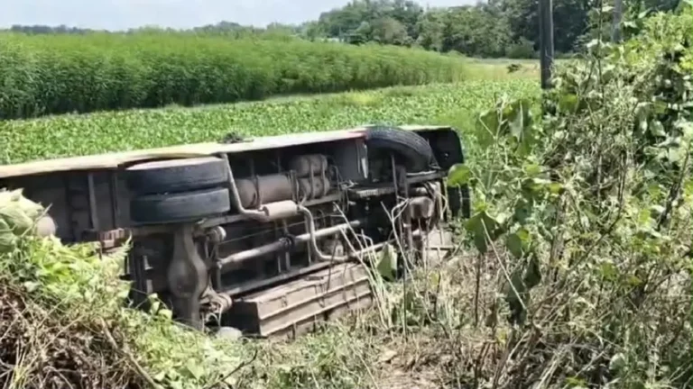 কসবায় চাকা পাংচার হয়ে বাস খাদে, আহত ১২