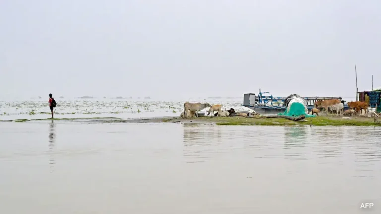 আসামে বন্যা: মৃতের সংখ্যা বেড়ে ৬৮