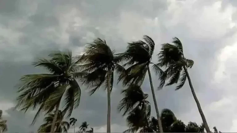 দেশের ৯ অঞ্চলে ঝড়ের সতর্কতা, ঢাকায় বৃষ্টি-বজ্রপাতের আভাস