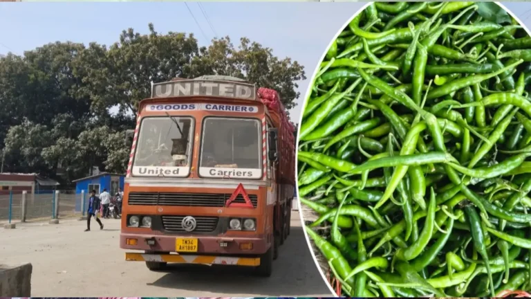 ভোমরা স্থলবন্দর দিয়ে দ্বিতীয় দিনে এলো ৪৬৭ টন ভারতীয় কাঁচা মরিচ