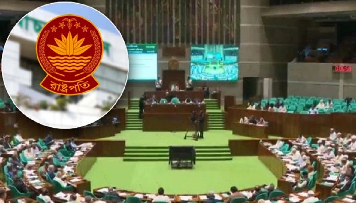রাষ্ট্রপতি নির্বাচনে ভোট হবে যেভাবে, জানালো ইসি
