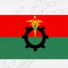 রাষ্ট্রপতি প্রার্থী চূড়ান্ত করতে বিএনপির স্থায়ী কমিটির বৈঠক আজ
